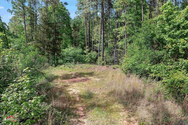 2573 County Road 222, Henderson, TX 75652 - photo 15