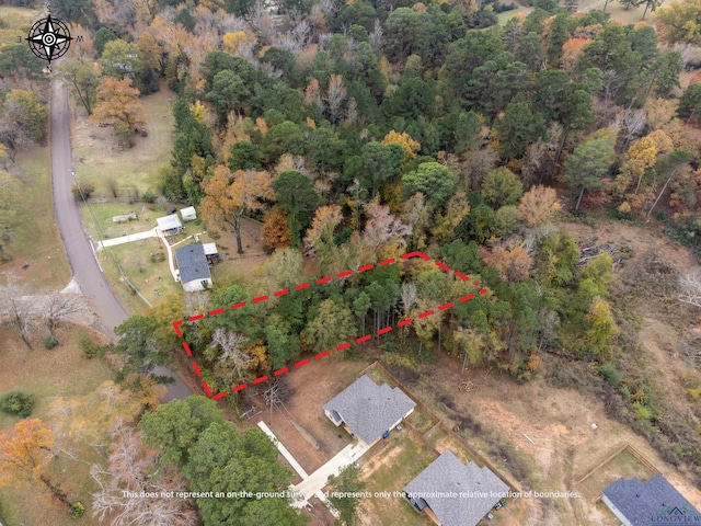 Listing photo 3 for TBD Harley Ridge Rd, Longview TX 75604