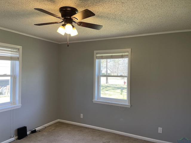 spare room with ornamental molding, a textured ceiling, and carpet floors