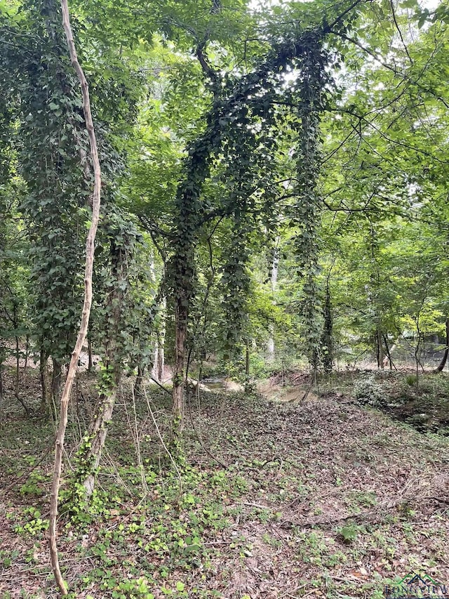 1611 Clarendon St, Longview, TX 75601