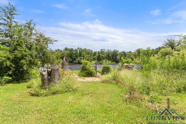 20034 Northside Dr, Winona, TX 75792 - photo 36