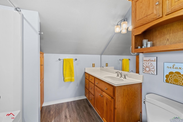 1463 County Road 106, Carthage, TX 75633 - bathroom with wood finished floors, vanity, and vaulted ceiling