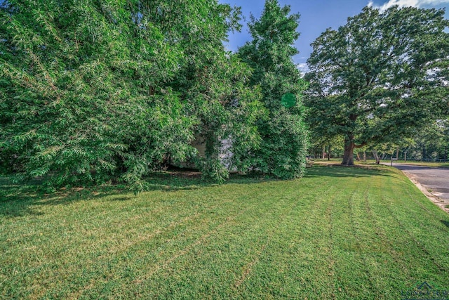 1201 E Washington Pl, Marshall, TX 75670 - photo 4