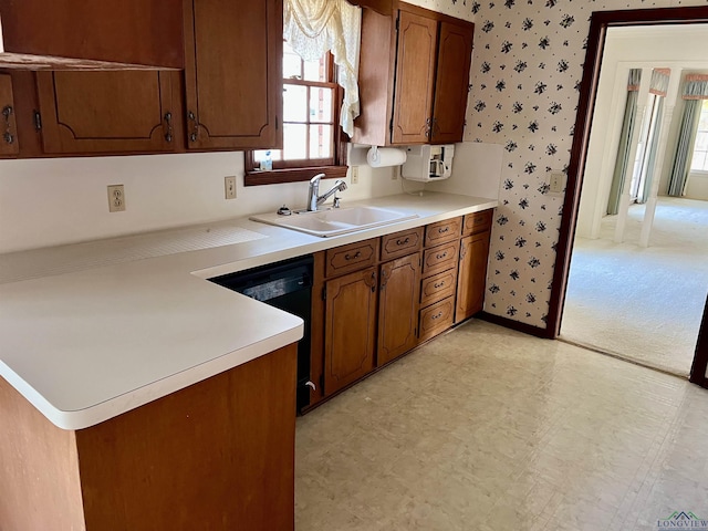 kitchen with sink and black dishwasher