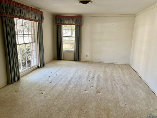 unfurnished room with crown molding and carpet