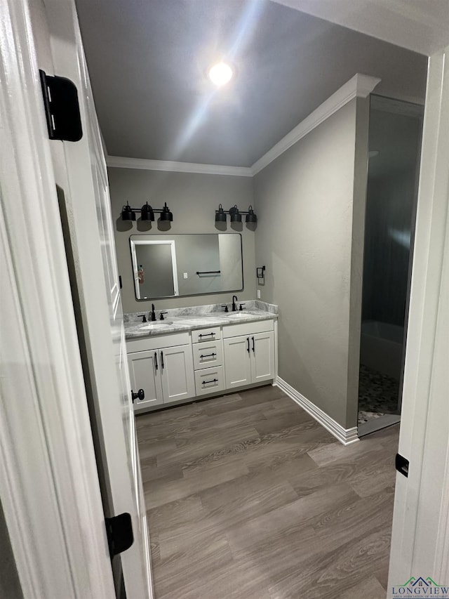 bathroom with crown molding, vanity, and hardwood / wood-style flooring