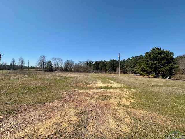 Listing photo 3 for TBD Iris, Clarksville City TX 75693