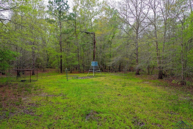 0 US Highway 80, Big Sandy, TX 75755