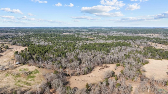 Listing photo 3 for TBD N Goldenrod Rd, Gilmer TX 75645