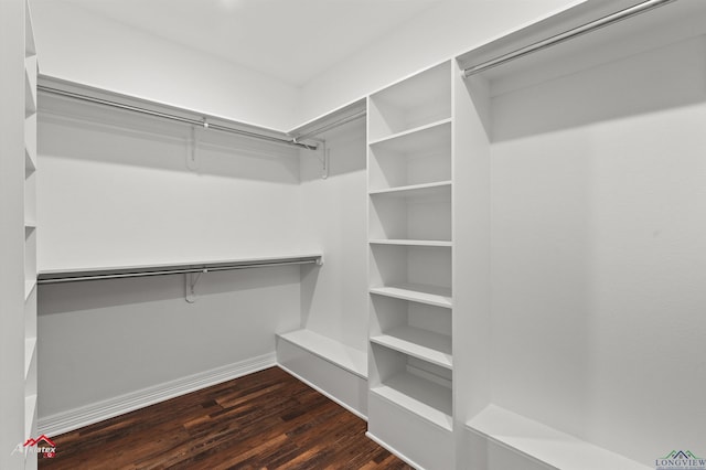 walk in closet featuring wood finished floors