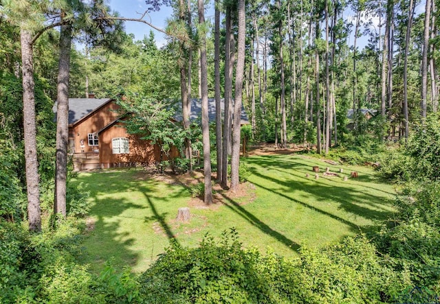 196 Pine Branch Gln, Holly Lake Ranch, TX 75765 - photo 29