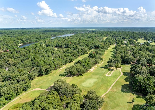 196 Pine Branch Gln, Holly Lake Ranch, TX 75765 - photo 34