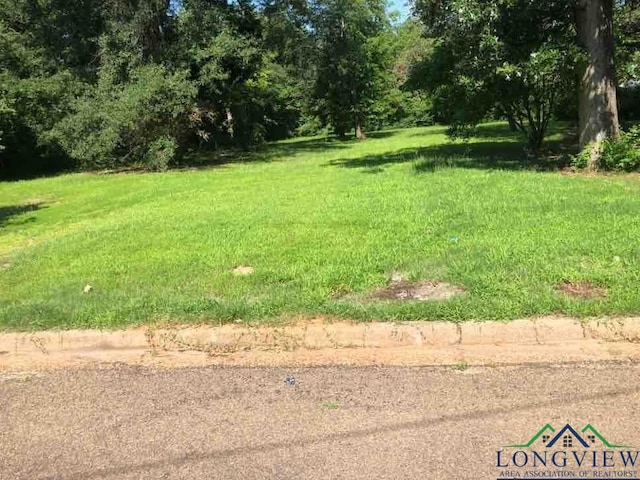 127 Sidney St, Longview TX, 75602 land for sale