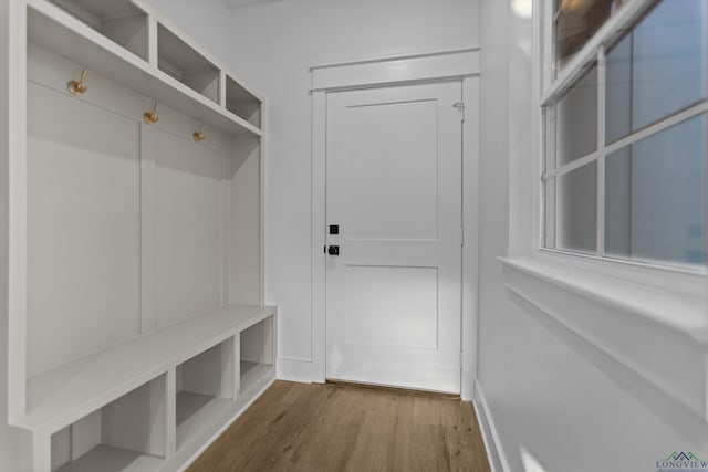 mudroom featuring dark wood-type flooring