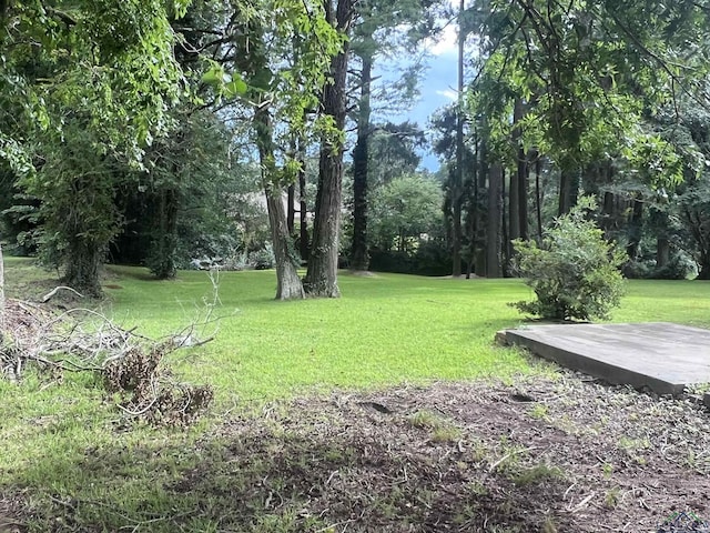 105 Watlington St, Center, TX 75935 - photo 1