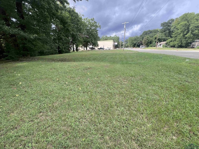 105 Watlington St, Center, TX 75935 - photo 4