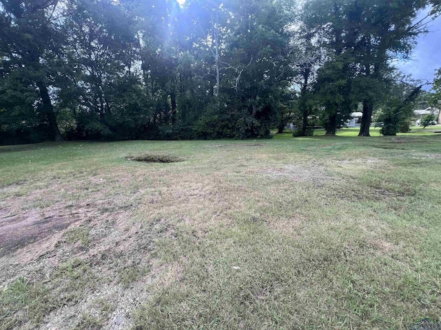 105 Watlington St, Center, TX 75935 - photo 6