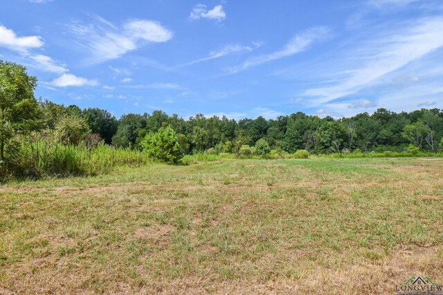 Listing photo 2 for TBD Godfrey Rd, Longview TX 75603