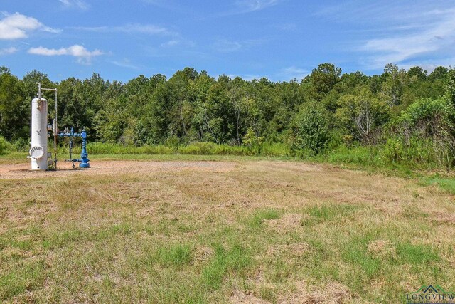 Listing photo 3 for TBD Godfrey Rd, Longview TX 75603