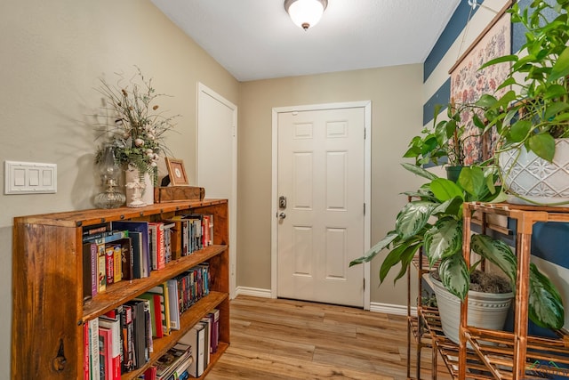 entryway featuring light hardwood / wood-style floors