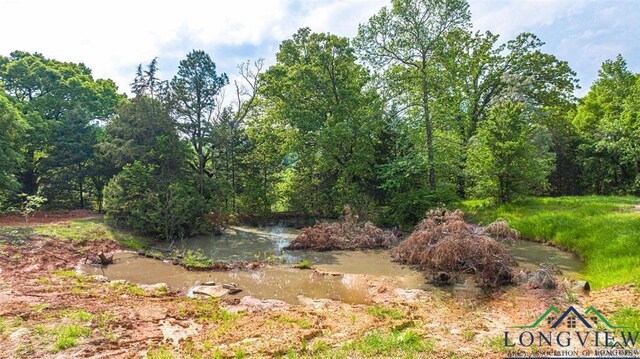 4119 Mccann Rd, Longview, TX 75605 - photo 15