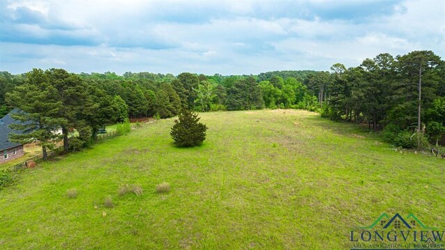 4119 Mccann Rd, Longview, TX 75605 - photo 4