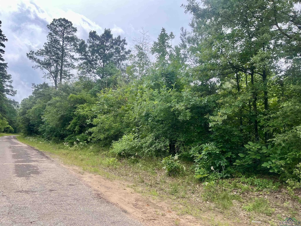 TBD Trinity Rd, Jefferson, TX 75657 - photo 3
