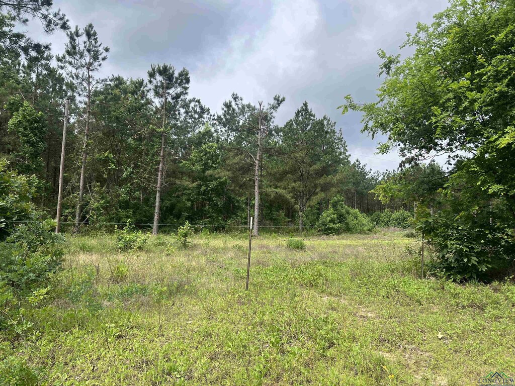 TBD Trinity Rd, Jefferson, TX 75657 - photo 1
