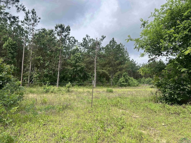 TBD Trinity Rd, Jefferson, TX 75657 - photo 1