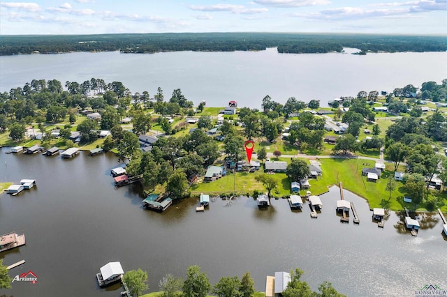 bird's eye view with a water view