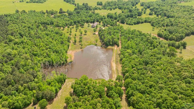 4754 Deer Rd, Gilmer, TX 75644 - bird's eye view featuring a water view
