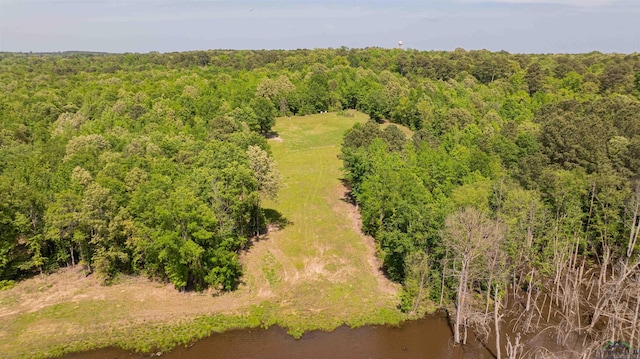 4754 Deer Rd, Gilmer, TX 75644 - birds eye view of property with a forest view and a water view