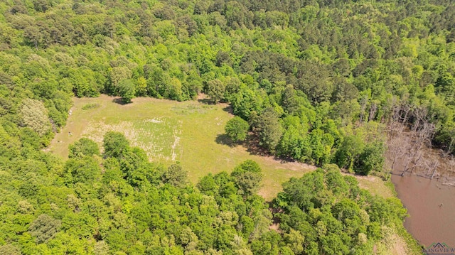 4754 Deer Rd, Gilmer, TX 75644 - bird's eye view featuring a forest view