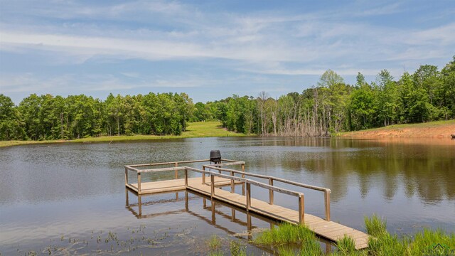 4754 Deer Rd, Gilmer, TX 75644 - dock area with a forest view and a water view