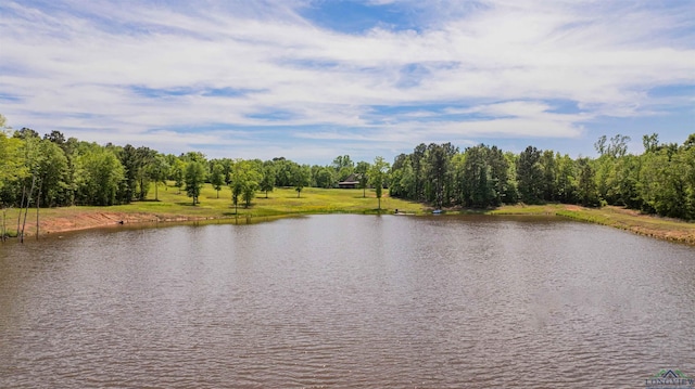 4754 Deer Rd, Gilmer, TX 75644 - water view