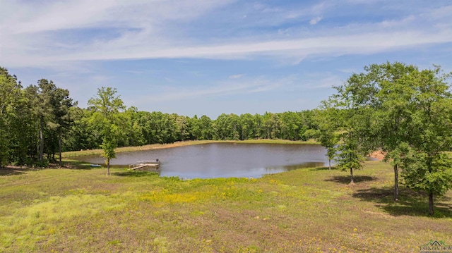 4754 Deer Rd, Gilmer, TX 75644 - property view of water featuring a forest view and a boat dock