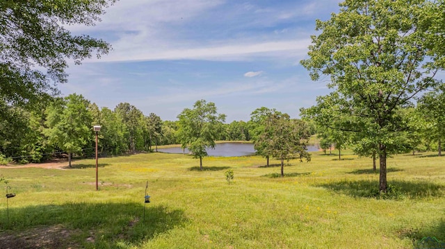 4754 Deer Rd, Gilmer, TX 75644 - view of yard