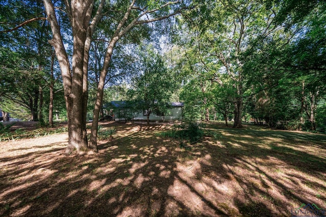 2600 Dogwood Ln, Longview, TX 75605 - photo 23