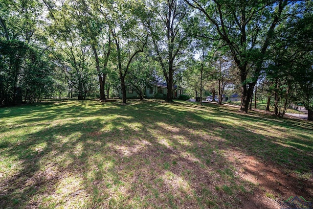 2600 Dogwood Ln, Longview, TX 75605 - photo 32