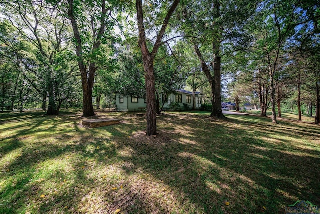 2600 Dogwood Ln, Longview, TX 75605 - photo 30