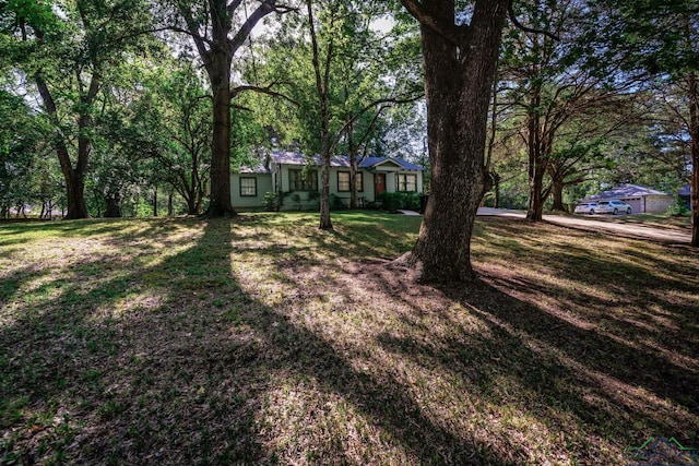 2600 Dogwood Ln, Longview, TX 75605 - photo 33