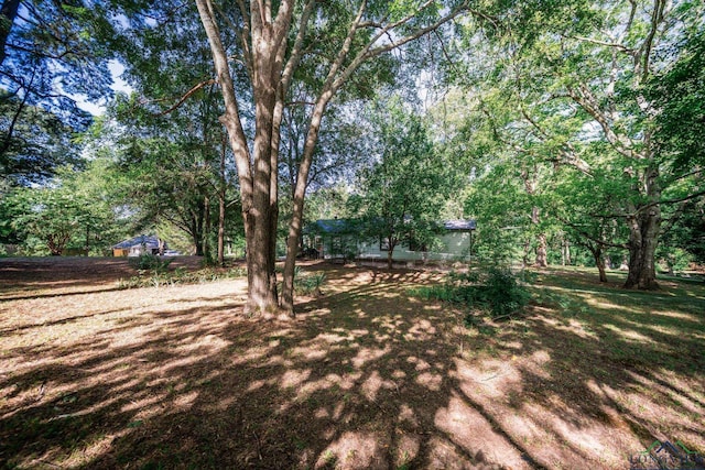 2600 Dogwood Ln, Longview, TX 75605 - photo 24