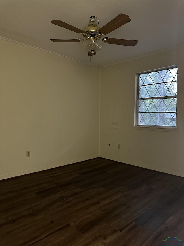 spare room featuring dark wood-type flooring and ornamental molding