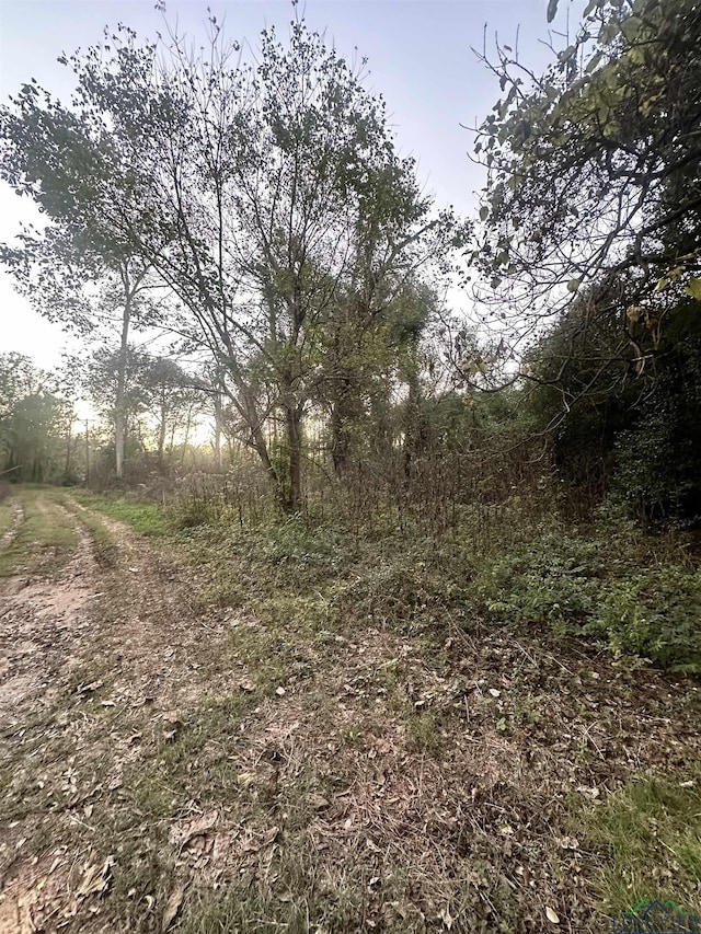 150 Rose St, Overton, TX 75682