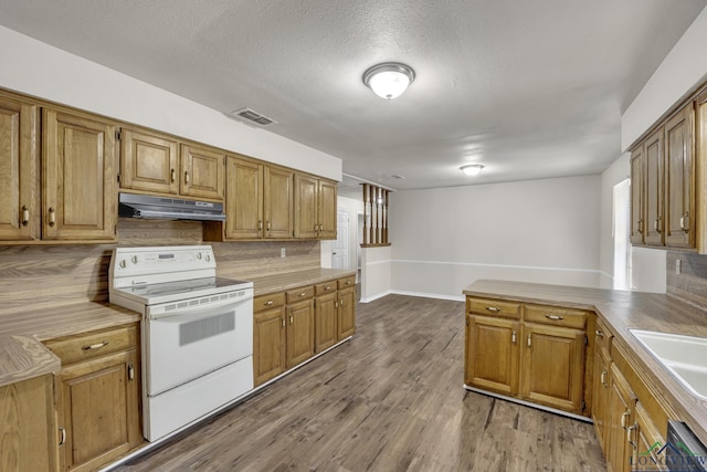 kitchen with sink, decorative backsplash, light hardwood / wood-style floors, a textured ceiling, and electric stove