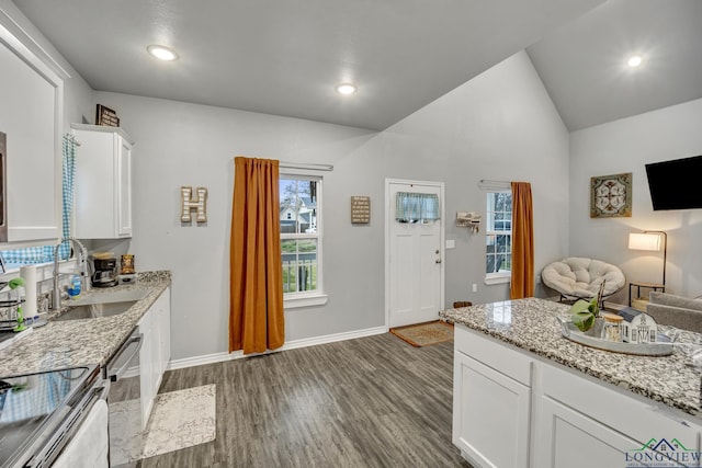 kitchen with sink, white cabinetry, dark hardwood / wood-style floors, stainless steel appliances, and light stone countertops