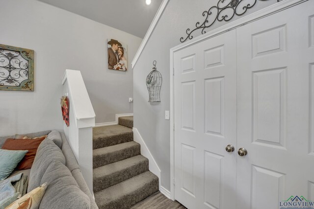 stairs featuring hardwood / wood-style floors