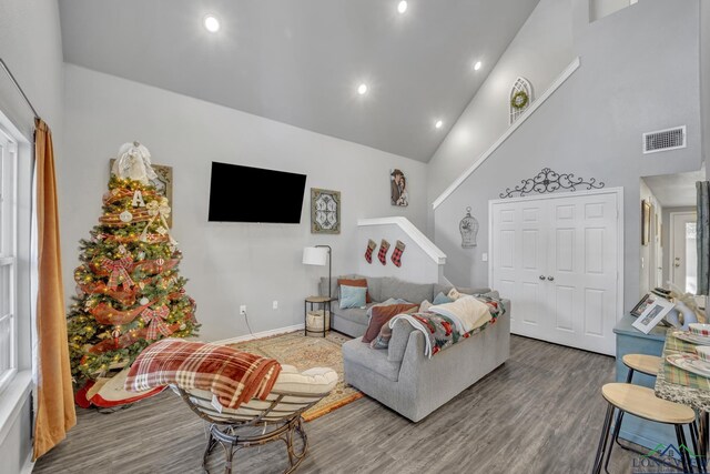 living room featuring hardwood / wood-style floors and high vaulted ceiling