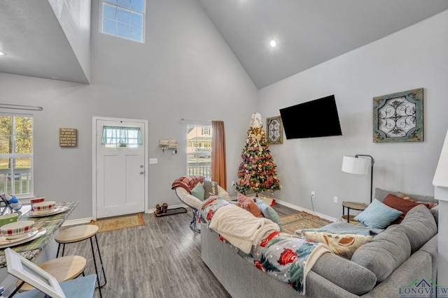 living room with hardwood / wood-style floors and high vaulted ceiling