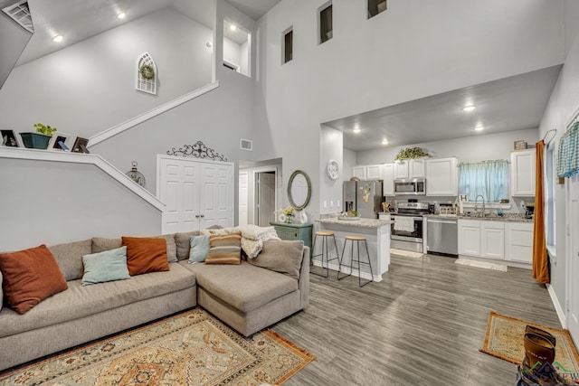 living room with sink, a towering ceiling, and wood-type flooring